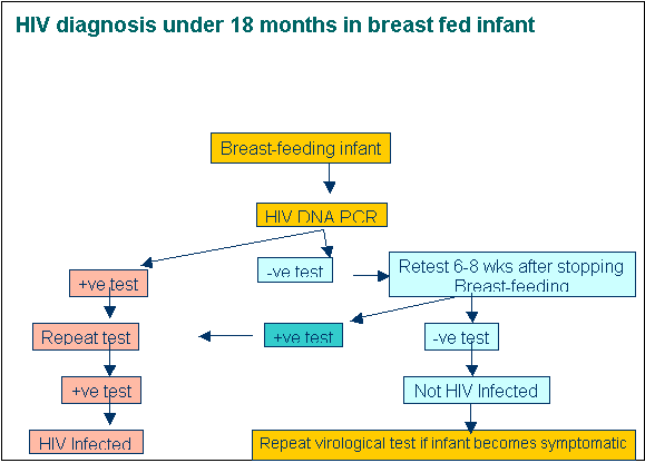 Hiv Diagnosis under 18 months in breast fed infant